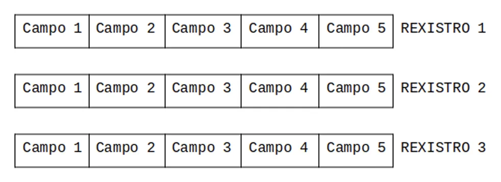 Diagrama de los registros en los archivos
